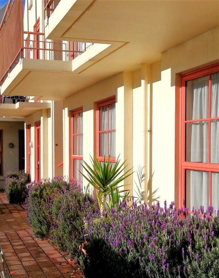 כרייסטצ'רץ' Addington Stadium Motel מראה חיצוני תמונה